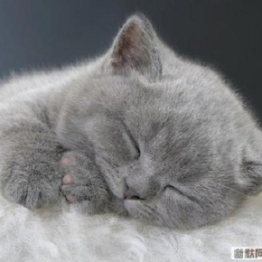 xianci